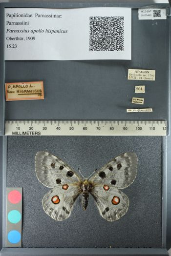 Media type: image;   Entomology 175463